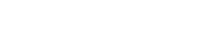 Zulu Limited