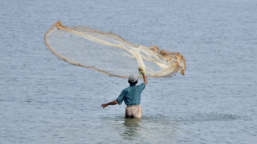 [ZL-FI-NET] Multi-Mesh Fishing Net