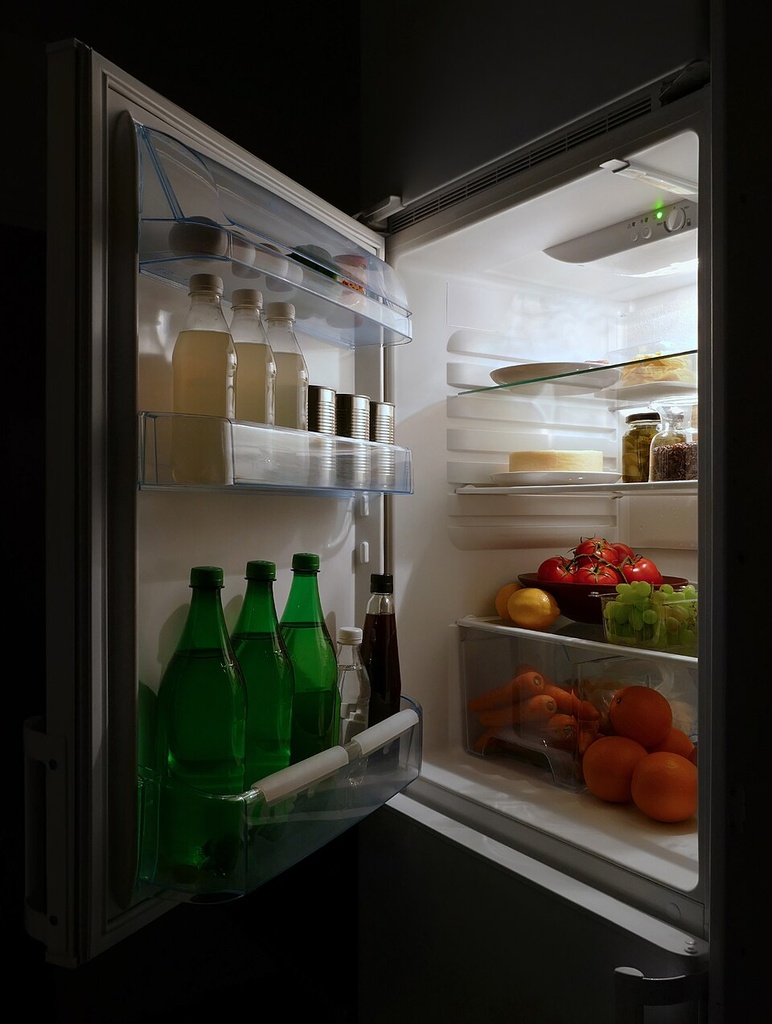 [ZL-HOS-FRIDGE] Upright Commercial Refrigerator