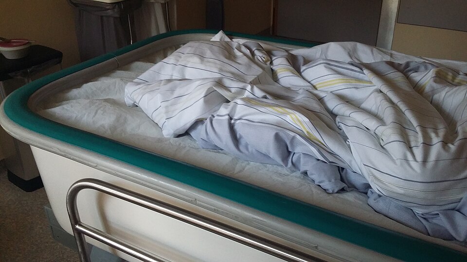 [ZL-MED-BED] Electric Adjustable Hospital Bed
