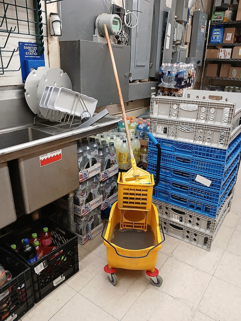 [ZL-CLN-MOP] Janitorial Mop & Bucket Set