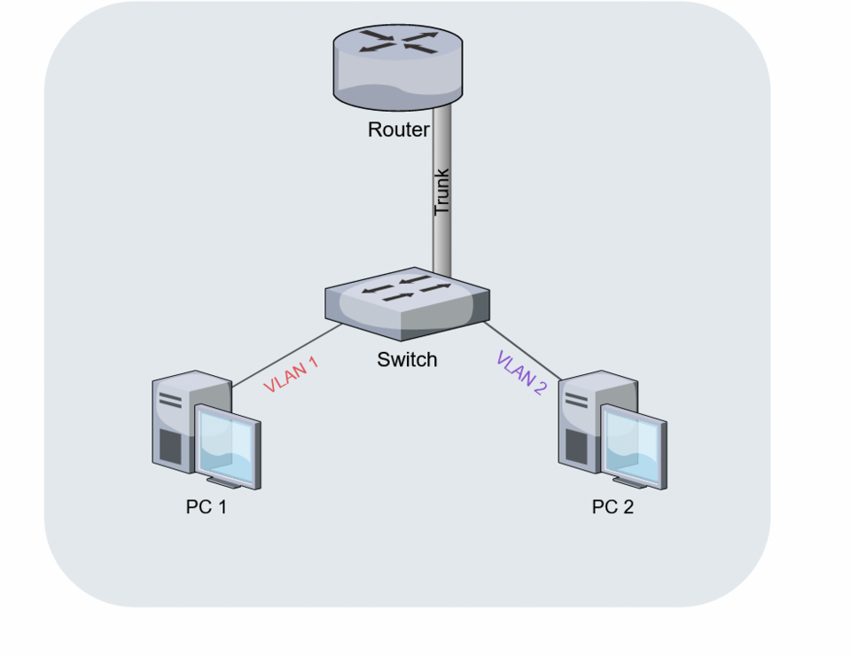 Network Router & Switch