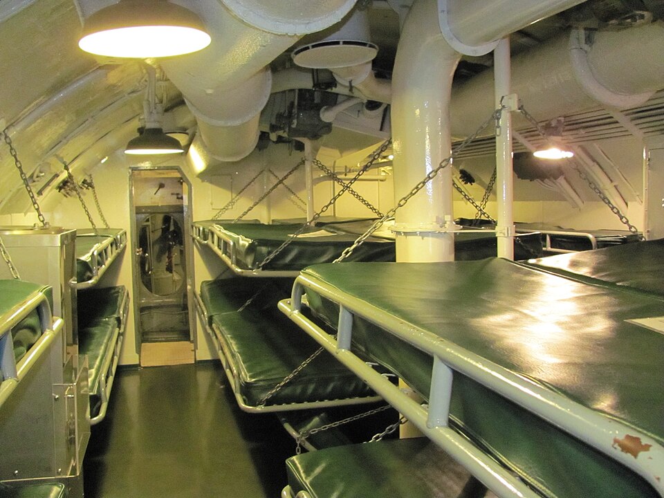 [ZL-CMP-BUNK] Camp Bunk Beds
